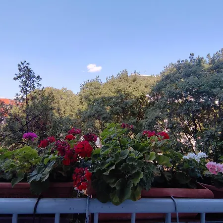 Appartement Bella Rosa *