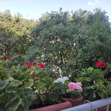 Bella Rosa Apartmán Zadar