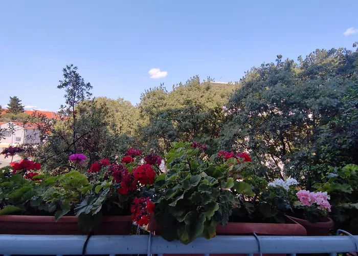 Appartement Bella Rosa *