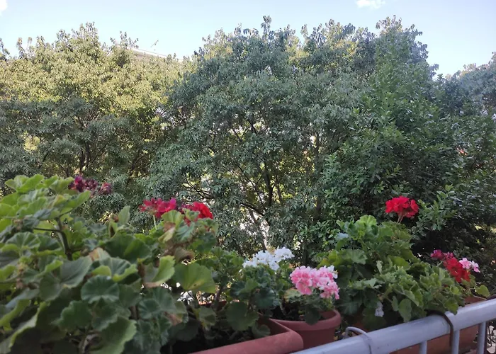 Bella Rosa Appartement Zadar